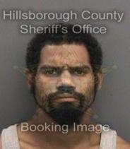 Torrance Shepard Info, Photos, Data, and More About Torrance Shepard / Torrance Shepard Tampa Area