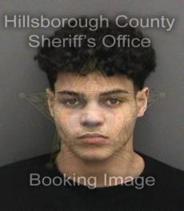 Collin Elmore Info, Photos, Data, and More About Collin Elmore / Collin Elmore Tampa Area