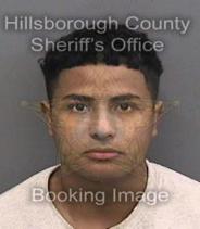 Henry Villalta Info, Photos, Data, and More About Henry Villalta / Henry Villalta Tampa Area