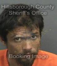 Jacob Bergstrom Info, Photos, Data, and More About Jacob Bergstrom / Jacob Bergstrom Tampa Area