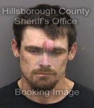 Bryan Williamson Info, Photos, Data, and More About Bryan Williamson / Bryan Williamson Tampa Area