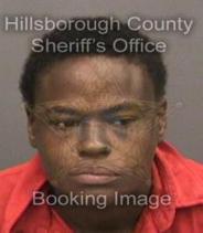 Erica Anderson Info, Photos, Data, and More About Erica Anderson / Erica Anderson Tampa Area