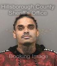 Alfredo Rodriguez Info, Photos, Data, and More About Alfredo Rodriguez / Alfredo Rodriguez Tampa Area