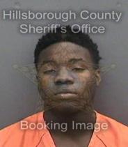 Michael Starker Info, Photos, Data, and More About Michael Starker / Michael Starker Tampa Area