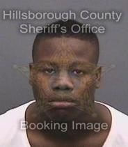 David Green Info, Photos, Data, and More About David Green / David Green Tampa Area