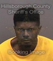 Stevie Brewster Info, Photos, Data, and More About Stevie Brewster / Stevie Brewster Tampa Area