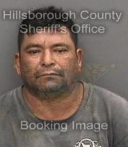 Nicolas Lopez Info, Photos, Data, and More About Nicolas Lopez / Nicolas Lopez Tampa Area