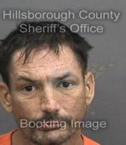 Taylor Hazelwood Info, Photos, Data, and More About Taylor Hazelwood / Taylor Hazelwood Tampa Area