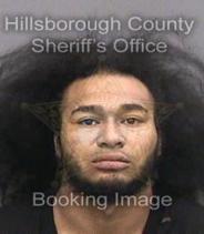 Brandon Peters Info, Photos, Data, and More About Brandon Peters / Brandon Peters Tampa Area