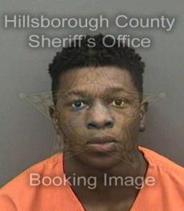 Antonio Nelson Info, Photos, Data, and More About Antonio Nelson / Antonio Nelson Tampa Area
