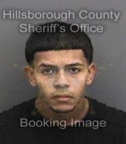 Michael Roldan Leon Info, Photos, Data, and More About Michael Roldan Leon / Michael Roldan Leon Tampa Area