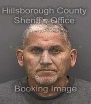 Alfredo Del Vallera Velo Info, Photos, Data, and More About Alfredo Del Vallera Velo / Alfredo Del Vallera Velo Tampa Area