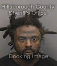 Daniel Davis Info, Photos, Data, and More About Daniel Davis / Daniel Davis Tampa Area