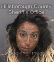 Cheryl Alvarado Info, Photos, Data, and More About Cheryl Alvarado / Cheryl Alvarado Tampa Area
