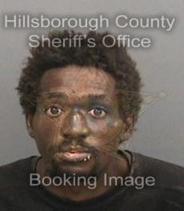 Shelton Adams Info, Photos, Data, and More About Shelton Adams / Shelton Adams Tampa Area