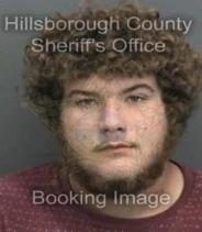Dylan Harcourt Info, Photos, Data, and More About Dylan Harcourt / Dylan Harcourt Tampa Area