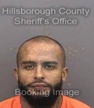 Bernardino Torres Info, Photos, Data, and More About Bernardino Torres / Bernardino Torres Tampa Area