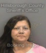 Melissa Burkhardt Info, Photos, Data, and More About Melissa Burkhardt / Melissa Burkhardt Tampa Area