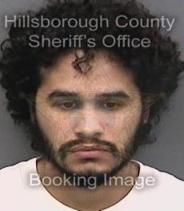 Luis Sierra Info, Photos, Data, and More About Luis Sierra / Luis Sierra Tampa Area