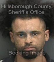 Matthew Powell Info, Photos, Data, and More About Matthew Powell / Matthew Powell Tampa Area