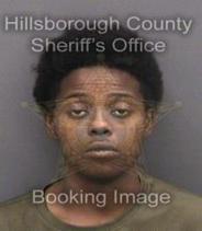 Alexcus Fiffie Info, Photos, Data, and More About Alexcus Fiffie / Alexcus Fiffie Tampa Area