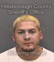 Jonny Sibrian Info, Photos, Data, and More About Jonny Sibrian / Jonny Sibrian Tampa Area