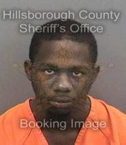 Vernell Knight Info, Photos, Data, and More About Vernell Knight / Vernell Knight Tampa Area