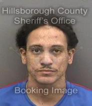 Lorenzo Paulino Info, Photos, Data, and More About Lorenzo Paulino / Lorenzo Paulino Tampa Area