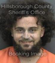 Austin Mould Info, Photos, Data, and More About Austin Mould / Austin Mould Tampa Area