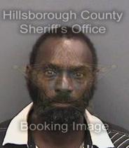 William Harris Info, Photos, Data, and More About William Harris / William Harris Tampa Area