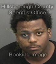 Raymond Williams Info, Photos, Data, and More About Raymond Williams / Raymond Williams Tampa Area