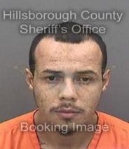 Tyler Robertson Info, Photos, Data, and More About Tyler Robertson / Tyler Robertson Tampa Area