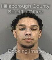 Joseph Febres-Quinones Info, Photos, Data, and More About Joseph Febres-Quinones / Joseph Febres-Quinones Tampa Area