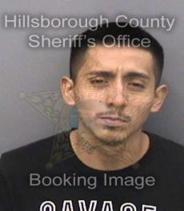 George Hernandez Info, Photos, Data, and More About George Hernandez / George Hernandez Tampa Area
