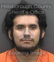 Sterling Palacio Info, Photos, Data, and More About Sterling Palacio / Sterling Palacio Tampa Area