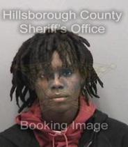 Marcus Garms Info, Photos, Data, and More About Marcus Garms / Marcus Garms Tampa Area