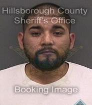 Francisco Hernandez Info, Photos, Data, and More About Francisco Hernandez / Francisco Hernandez Tampa Area
