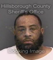 Shannon Edwards Info, Photos, Data, and More About Shannon Edwards / Shannon Edwards Tampa Area