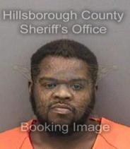 Lorenzo Brown Info, Photos, Data, and More About Lorenzo Brown / Lorenzo Brown Tampa Area