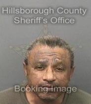 Michael Collier Info, Photos, Data, and More About Michael Collier / Michael Collier Tampa Area