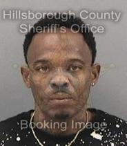 Ronald Hamilton Info, Photos, Data, and More About Ronald Hamilton / Ronald Hamilton Tampa Area