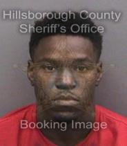Marquis Hodge Info, Photos, Data, and More About Marquis Hodge / Marquis Hodge Tampa Area