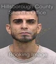 Ibrahim Alshrouf Info, Photos, Data, and More About Ibrahim Alshrouf / Ibrahim Alshrouf Tampa Area