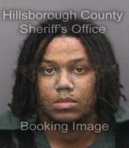 Carlos Paulino Info, Photos, Data, and More About Carlos Paulino / Carlos Paulino Tampa Area