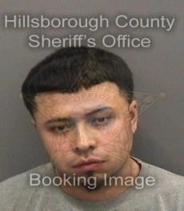 David Muniz Info, Photos, Data, and More About David Muniz / David Muniz Tampa Area