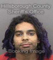 James Rose Info, Photos, Data, and More About James Rose / James Rose Tampa Area