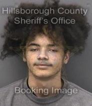Noah Thomas Info, Photos, Data, and More About Noah Thomas / Noah Thomas Tampa Area