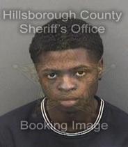 Michael Gilmore Info, Photos, Data, and More About Michael Gilmore / Michael Gilmore Tampa Area