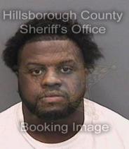 William Ayers Info, Photos, Data, and More About William Ayers / William Ayers Tampa Area