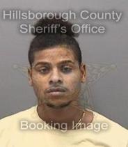 Dominique Williams Info, Photos, Data, and More About Dominique Williams / Dominique Williams Tampa Area